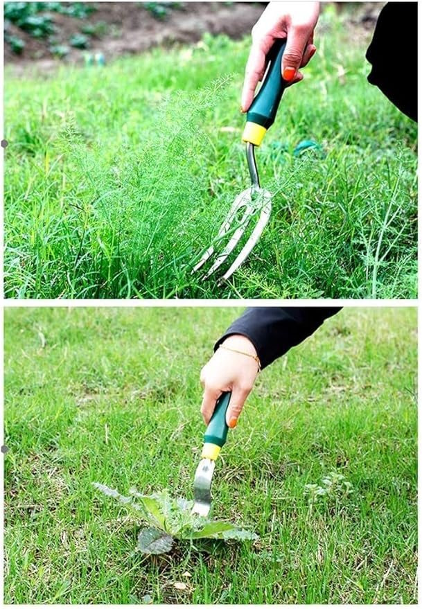 Garden Tool Set 5 Piece Stainless Steel Heavy Duty Gardening Tool Set Mini Garden Plant Tool Loose Soil Pot Planting Flowering Tool for Seedling Digging Weeding