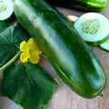 Long Green Imp. Slicing Cucumber - 1 LB ~11200 Seeds - Heirloom Open Pollinated Non-GMO Farm &amp Vegetable Gardening Seeds