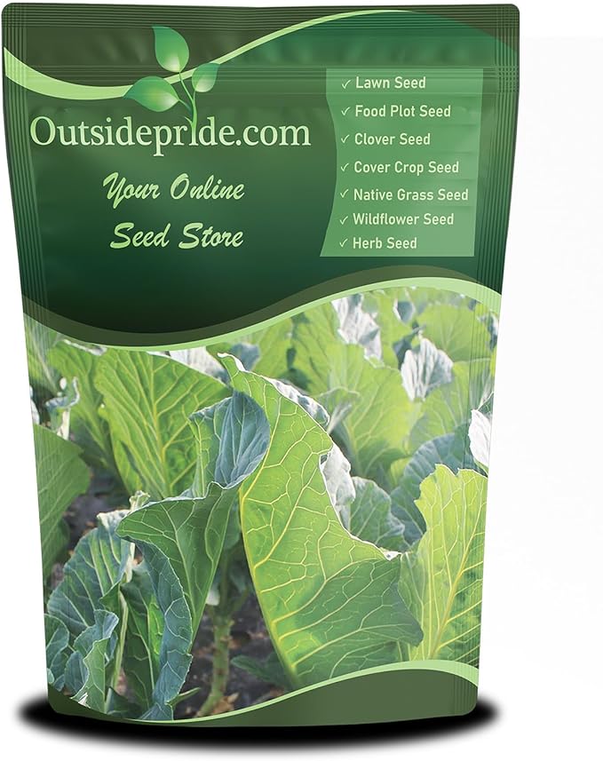 Outsidepride Bayou Kale Seeds - 50 lb. Annual Versatile &amp Cold-Tolerant Cover Crop Seeds for Planting Large Resilient Foliage for Livestock Grazing Erosion Control &amp Easy Growth