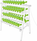 Hydroponics Growing System Hydroponic Grow Kit Hydroponics Growing Sys 4 Layers 72 Plant Sites Food-Grade Pipes Hydroponic Planting Equipment with Water Pump Pump Timer for Leafy Vegetabl