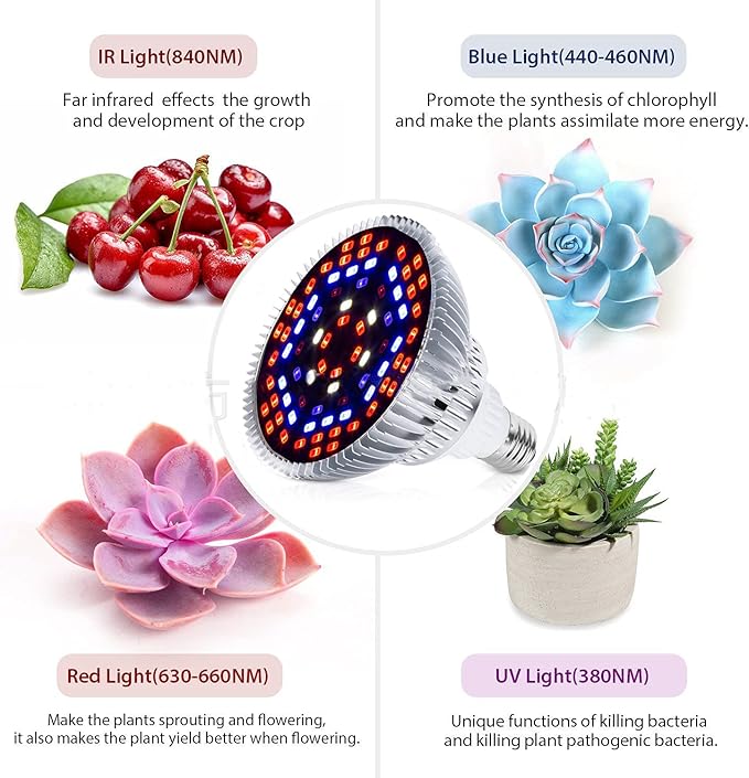 LED Plant Growth Light e27 Greenhouse Vegetables Succulent Flower Potted Seedlings 80Wpar20 Full Spectrum Light