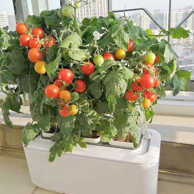 Self Watering Planter Automatic Hydroponics Growing System with Water Level Monitoring and Low Water Alert for Home Flower Vegetable Indoor Garden (US Plug)