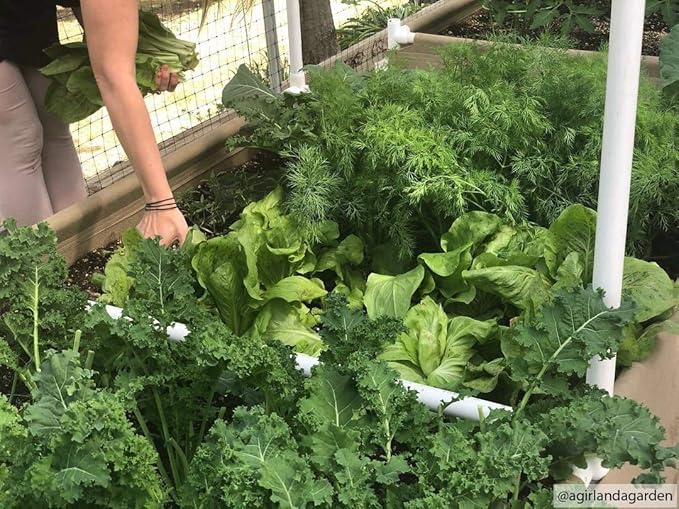 Grassroots Fabric Pots Raised Beds (2' x 4' w/Blumat Irrigation Kit)