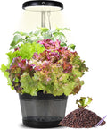 Indoor Clay pellets hydroponic Gardening System with 20-W LED Plant Grow Light.The Translucent hydroponic Growing System for Hydroponic Herbs Vegetables Lettuce Harvest on Countertop