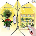 5-Head Adjustable LED Lights Full Spectrum Grow Lamp with Timer Warm White Light for Indoor Plants
