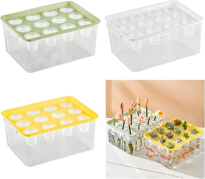 Modern Hydroponic Growing Setup Container Featuring Viewing Window for Home Vegetables Plant Progress Plant Growing Greenhouse Container