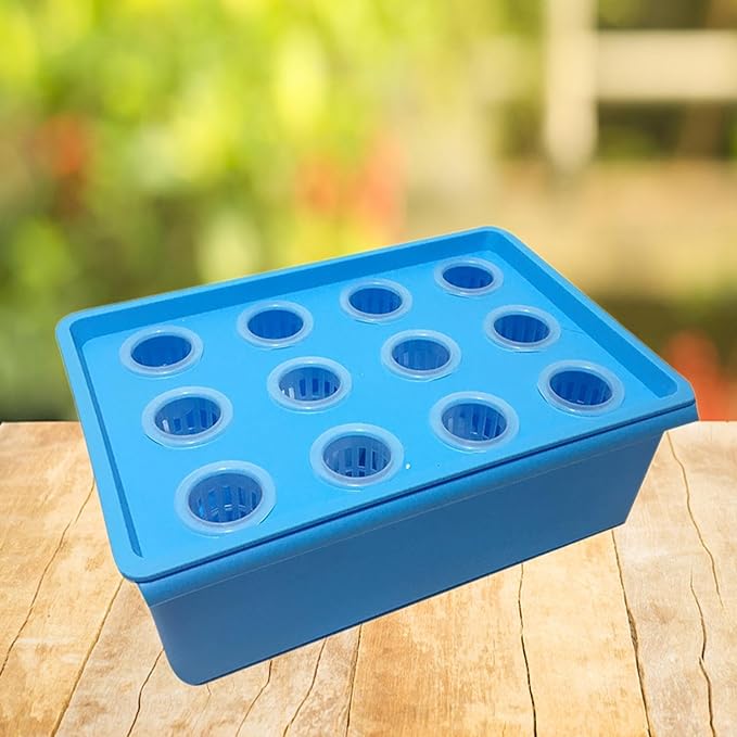 Hydroponic Grower Box Hydroponics Tools 12 Holes Hydroponic System Planting