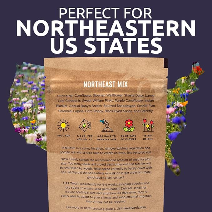 Sweet Yards - Northeast Wildflower Seed Regional Mixes - Bulk 1/4 Pound Bag - Over 30000 Native Seeds - Open Pollinated and Non GMO Varieties for New York Virginia Pennsylvania Maine and More!
