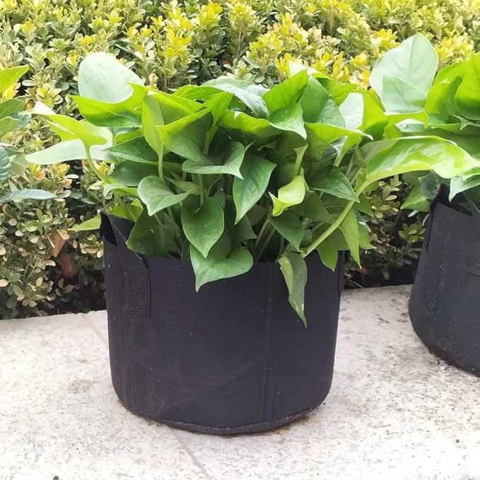 Seed Starting Soil Mix (24 Qts) - Coco Coir 650gm Bricks (2-Pack) + Perlite Bliss + 3 Gallon Grow Bags - Seed Starter Soil for Indoor Plants Outdoor Plants Seedlings - Organic Coco Coir Perlite Mix