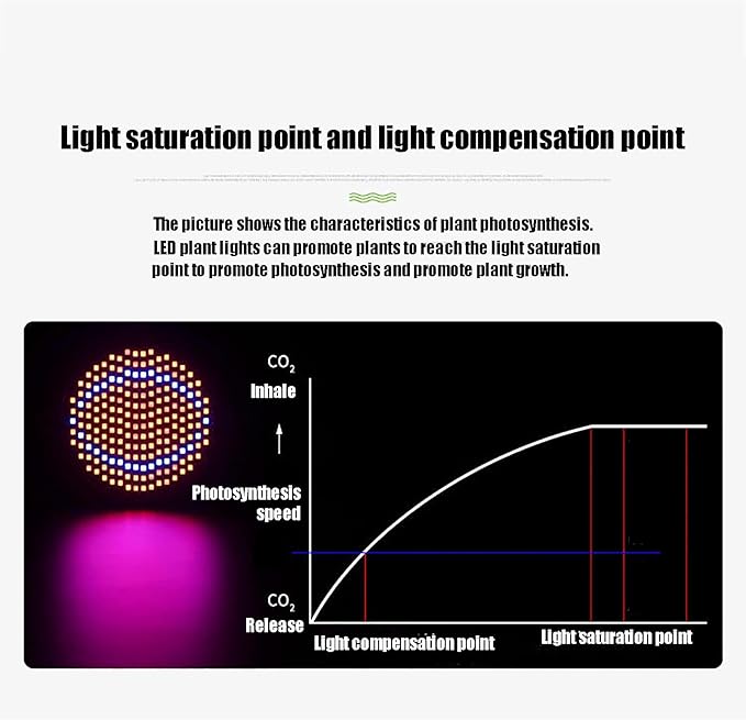 LED Grow Light Grow Lights for Indoor Plants Witrh Switch Ideal for Greenhouse Plants Flowers Veg Succulents Potted Growth (Size : 1 Head 290 lamp Beads) ()