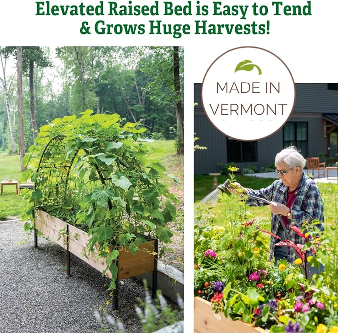 Gardener's Supply Company Elevated Cedar Raised Garden Bed | 2' x 8' Heavy Duty Standing Planter Box with Aluminum Corners for Outdoor Plants Vegetables Flowers | Perfect for Patio &amp Backyard