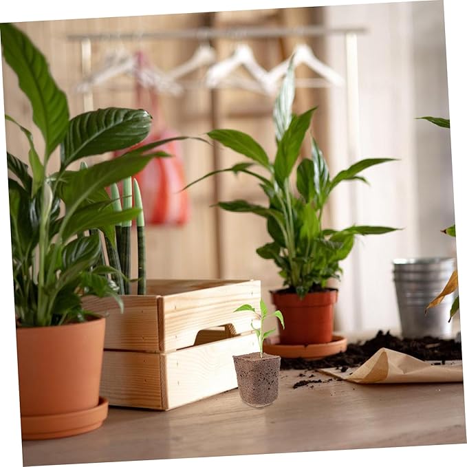 BESPORTBLE 160pcs Hydroponics Growing Media Cubes for Soilless Cultivation Seed Starter for Flower and Vegetable Plants High Absorption Air Permeability for Indoor Garden Germination