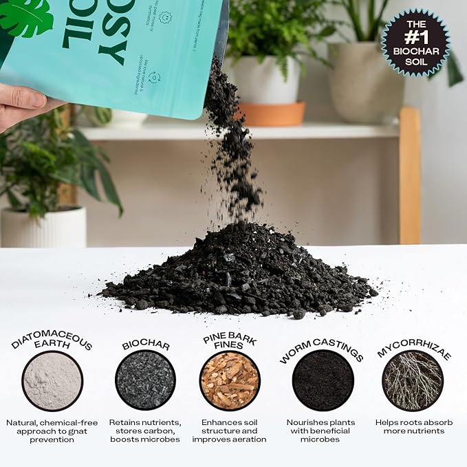 Rosy Soil Indoor Potting Soil for House Plants 2 x 8 qrt - Organic Potting Soil Mix for Indoor Plants -Enriched w/Root-Boosting Biochar for Foliage Plants Flowers Herbs - Pack of 2