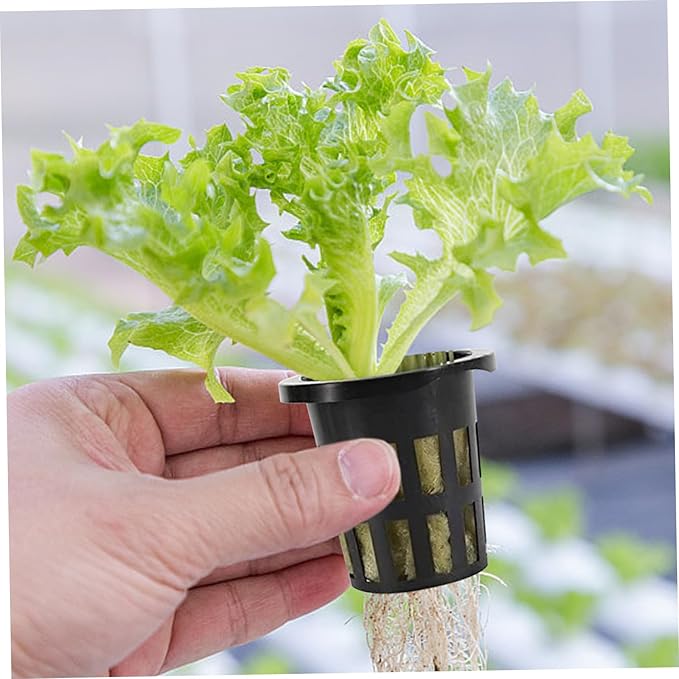 Rockwool Cubes Hydroponic Growing System with Net Pots - 72 Plugs 50 Cups &amp 20m Wick for Hydroponics