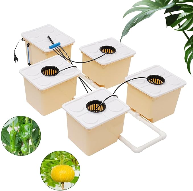 Deep Water Culture Hydroponic System Grow Kit W/Submerged Pump 11L 5 Box