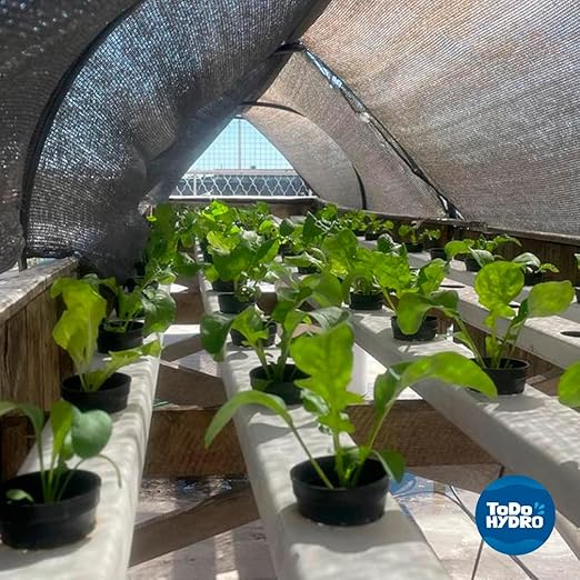 ToDo Hydro Macrobionic and Microbionic Solid Nutrient Solution Big Yields (Yield 320 gal)