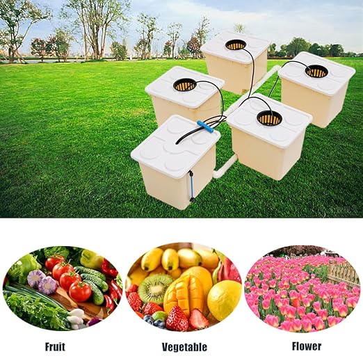 5 Hydroponic Buckets Kit for Plants Top Feed Drip Hydroponics Growing System for Herbs/Tomato/Vegetables DWC System with Submerged Pump (Complete Indoor Hydroponic Gardening Supplies)
