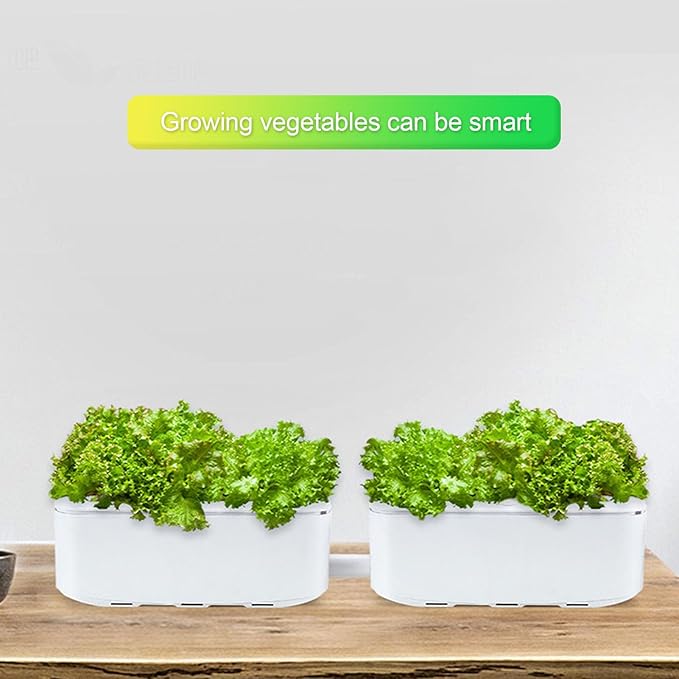 Hydroponic Growing System Kit Self Watering Planter Automatic System with Pump System and Automatic Timer Smart Indoor Garden Planter for Home