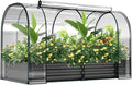 DoCred Galvanized Raised Garden Bed with PVC Cover 72.8 x 37.4 x 47.2 Metal Planter Bottomless Box w/ Roll-Up Window Mini Greenhouse Tent for Outdoor Growing Vegetables Flower Fruit