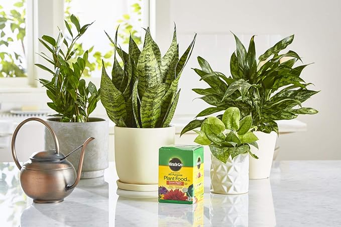 Miracle-Gro Water Soluble All Purpose Plant Food - Fertilizer For All Indoor or Outdoor Plants including Roses Flowers Vegetables Houseplants Trees and Shrubs 1.5 lbs. (6-Pack)
