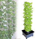 Garden Hydroponics Growing System Hydroponics Growing System for Indoor Gardening Hydroponic Growing Sytem Kits Gardening Indoor Grow System for Fresh Garden F