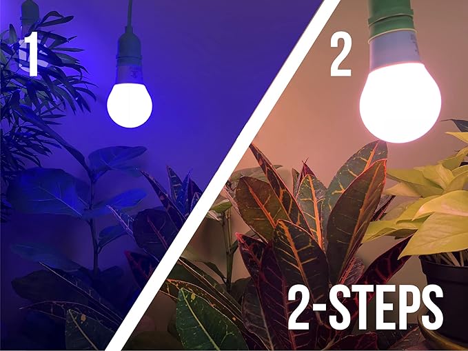 Miracle LED Plant Life Cycle 2-Socket Synchronized Grow Light Kit with 2 Blue Spectrum Ultra Grow Bulbs and 2 Red Spectrum Multi-Plant Bulbs and Sproutmatic All-Weather Timer Controls (2-Pack)