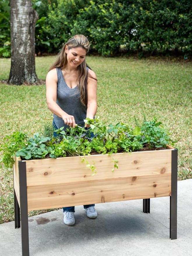 Gardener's Supply Company Raised Garden Bed Elevated Cedar Planter Box | 2' x 4' Self-Watering Standing Garden for Outdoor Plant Vegetables &amp Flower Gardening Perfect for Patio Deck &amp Yard