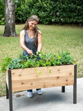 Gardener's Supply Company Raised Garden Bed Elevated Cedar Planter Box | 2' x 4' Self-Watering Standing Garden for Outdoor Plant Vegetables &amp Flower Gardening Perfect for Patio Deck &amp Yard