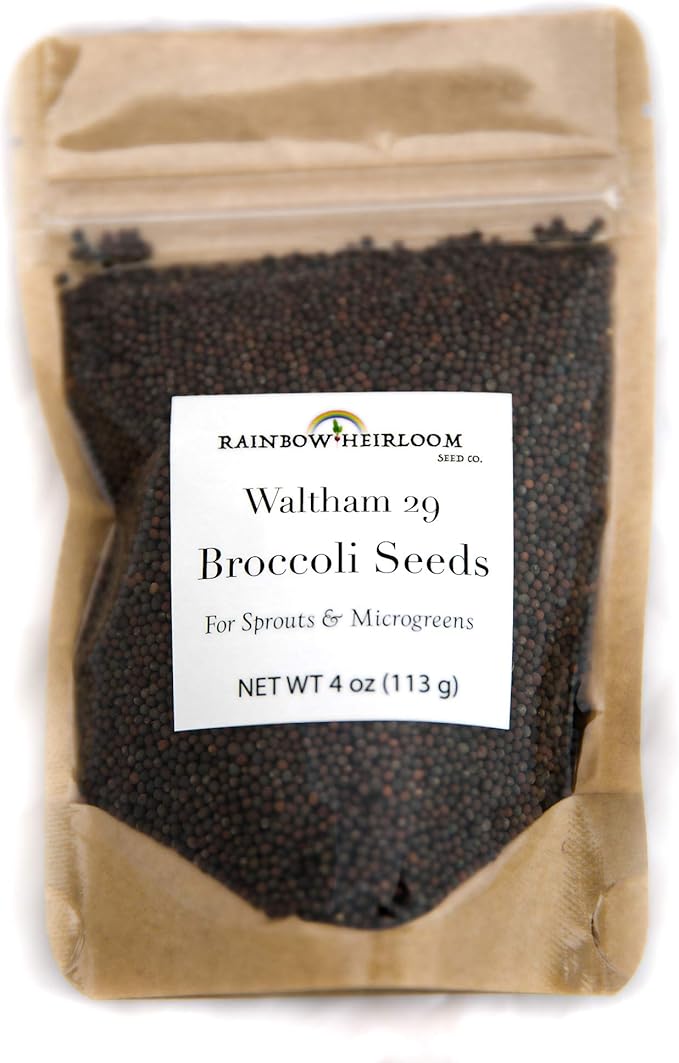 Heirloom Sprouting &amp Microgreen Seed Variety Pack | Contains Waltham 29 Broccoli Sprouting Seeds Rainbow Radish Sprouting Seeds Mix &amp Superfood Microgreen Mix | Non-GMO | Rainbow Heirloom See