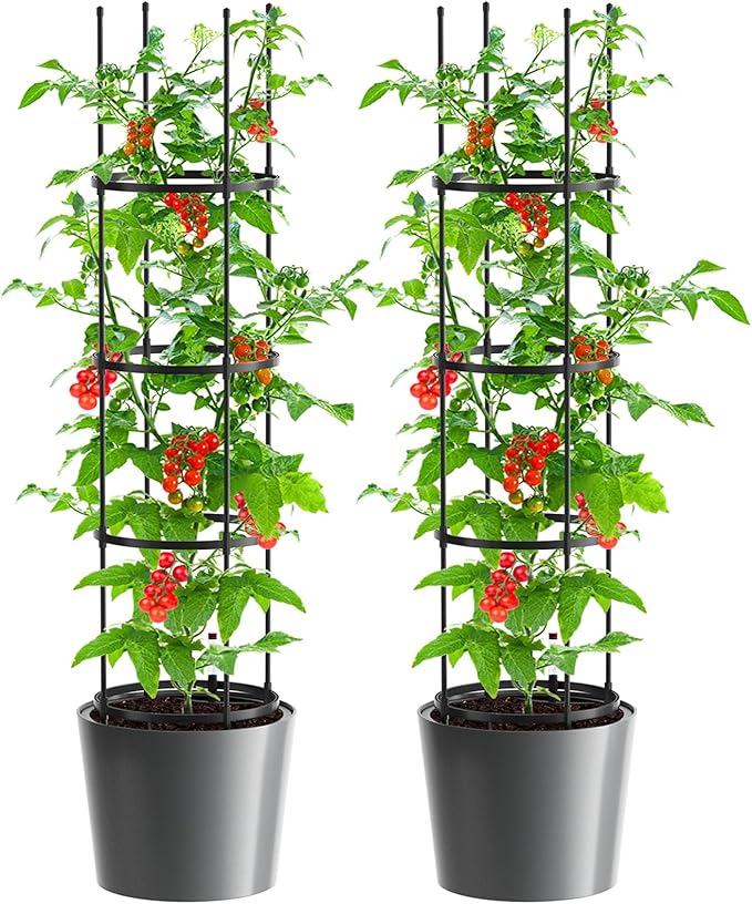 Tomato Planter Box with Trellis Self Watering Rolling Raised Garden Bed with Water Level Monitor for Climbing Vegetables Plants Cage Garden Planters Plant Pots for Plants Flowers Decor