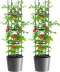 Tomato Planter Box with Trellis Self Watering Rolling Raised Garden Bed with Water Level Monitor for Climbing Vegetables Plants Cage Garden Planters Plant Pots for Plants Flowers Decor