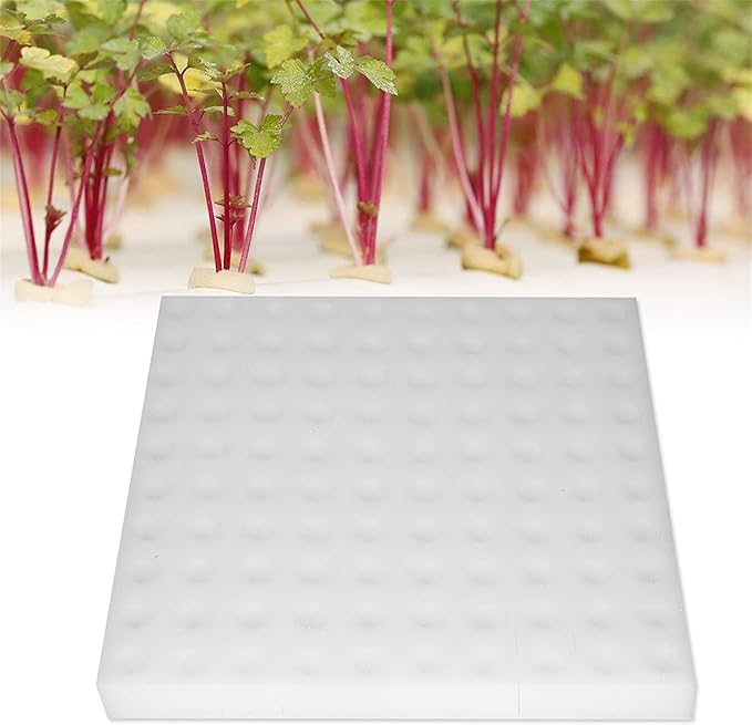 Generic Sponge Cubes for Hydroponics10Pcs Hydroponic Sponge Planting Gardening Tool Square Seedling Sponges for Greenhouse Small Bud Growth or Grow Seedlings White
