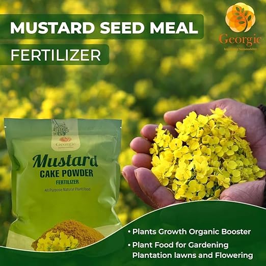 Mustard Oil Cake Powder – All-Purpose Natural Fertilizer for Flowers Vegetables Herbs Fruit Trees &amp Plants – Natural Cold-Pressed Plant Food and Soil Conditioner – Booster for Lush Growth (3 lb