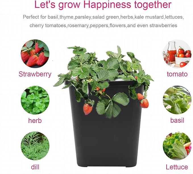 DWC 2 Hydroponic Buckets Kit for Plants Hydroponics Growing System for Herbs/Tomato/Vegetables DWC System with Air Pump &amp Germination Tray (Complete Indoor Hydroponic Gardening Supplies) (Black)