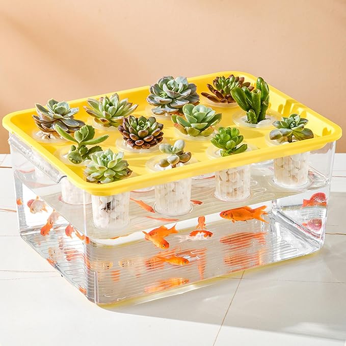 Modern Hydroponic Growing Setup Container Featuring Viewing Window for Home Vegetables Plant Progress Plant Growing Greenhouse Container