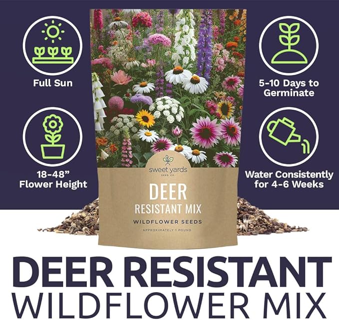 Deer Resistant Wildflower Seed Mixture - Bulk 1 Pound Bag - Over 240000 Deer Tolerant Seeds - Open Pollinated and Non GMO