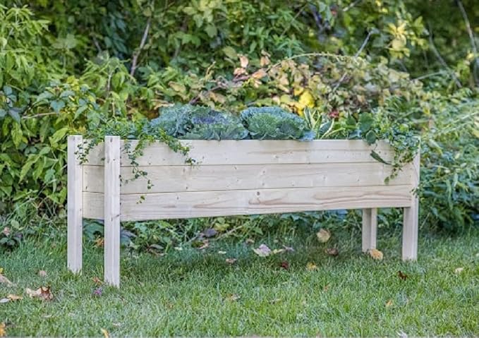 Zylina Wood Raised Garden Bed - Long 60x12x22 Raised Planter Boxes - These Garden Beds for Outdoor with Legs Grow Healthy Vegetables Herbs and Beautiful Flowers on Your Patio or Backyard.