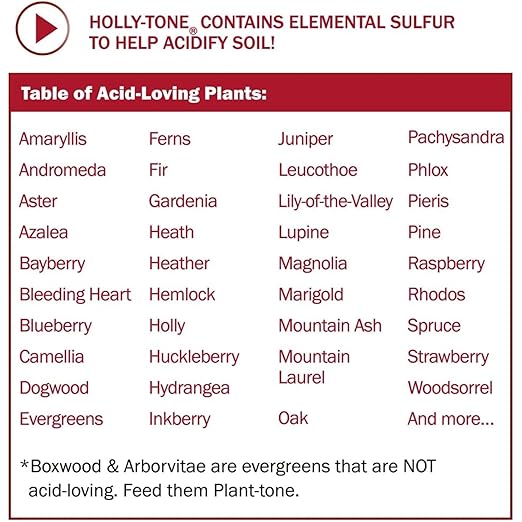 Espoma Organic Holly-Tone 4-3-4 Natural &amp Organic Evergreen &amp Azalea Plant Food 4 lb. Bag The Original &amp Best Fertilizer for All Acid Loving Plants Including Rhododendrons &amp Hydrange