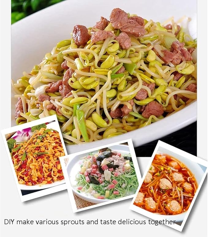 Automatic Sprouter Bean Growing Machine Bean Sprouts Growing Machine Bean Sprouts Maker Seed Germination Kit Germinating Sprouts and Microgreens