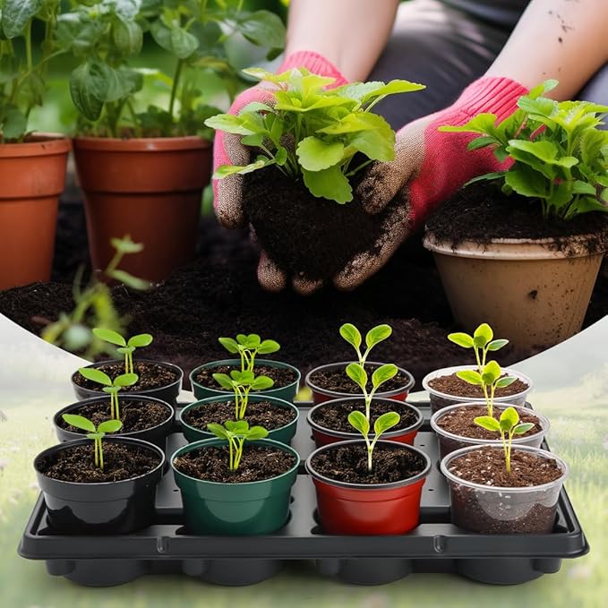 12 Cell Round Nursery Pot Trays Thickened Durable Seedling Pots Shuttle Carrying Trays for Holding 4 Inch Nursery Pots (16.85 × 12.6 20-Pack)