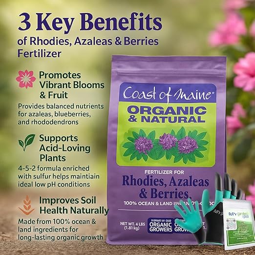 Coast of Maine RF6001 Rose &amp Flower Plant Food 4 LB – Organic Bloom Enhancing Fertilizer for Colorful Blooms with My Garden Pool Soil Test Strips &amp Claw Gardening Gloves