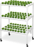 Hydroponics Growing System108 Plant Sites Food-Grade PVC-U Pipes Hydroponic Planting Equipment with Water Pump Gift for Gardening Lover