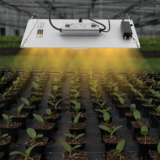 Gdrasuya10 450W LED Grow Light with LM301B LED Light &amp Meanwell ELG Driver Dimmable Full Spectrum Growth Light for 3x5ft Seedling Veg and Bloom Grow