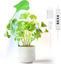 V.C Formark Small Grow Lights for Indoor Plants - Full Spectrum Leaf Shaped LED Plant Light with 4/8/12/18H Timer &amp Dimmable Safe for Succulents/Herbs/Potted Small Plants