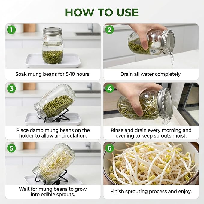 Wide Mouth Sprouting Jar Kit with Stainless Steel Mesh Lids Drip Tray and Stand for Broccoli Mung Bean &amp Alfalfa Sprouts Growing Kit