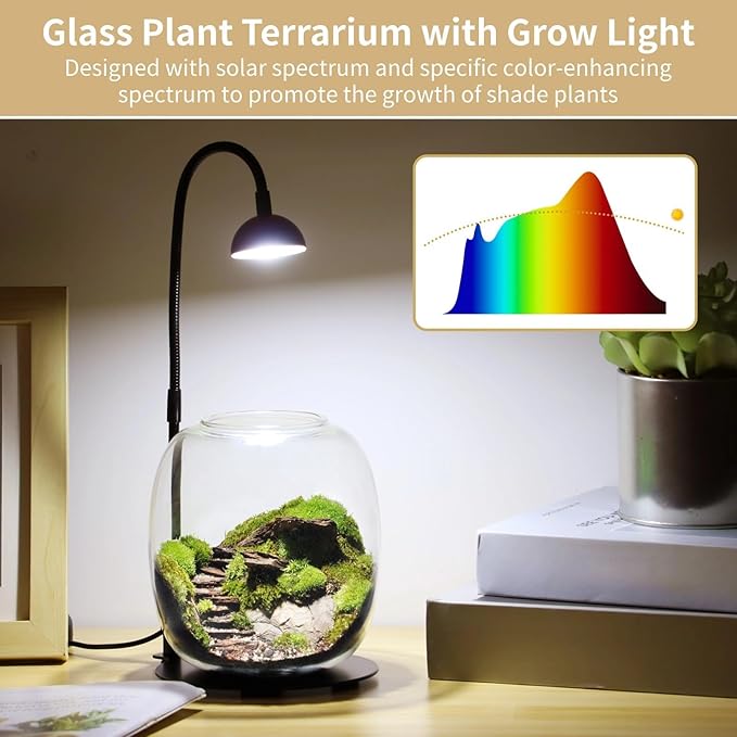 Succulent &amp Moss Glass Vase With Adjustable Led Light Usb-Powered Desktop Plant Grow Light For Home Or Office