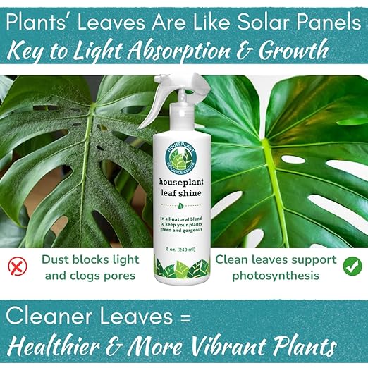 Houseplant Leaf Shine Spray – All-Natural Leaf Cleaner and Gloss for Healthy Shine &amp Better Photosynthesis | Perfect for House Plants and Foliage | 8 oz