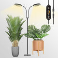 GLOWRIUM Grow Lights for Indoor Plants Full Spectrum LED Grow Light Floor Lamp with Stand Adjustable Height and Angle Black Plant Light with 3/9/12H Grow Light Timer (Black 36W)