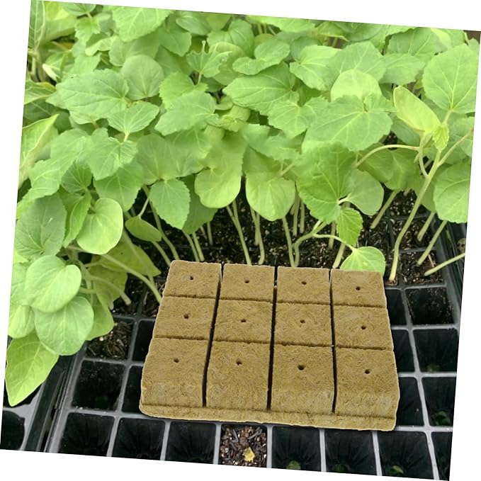POPETPOP 3sets Hydroponics Germination Nutrient Cubes for Soilless Plant Growth Water Retaining Rock Blocks for Vegetables and Flowers Clean and Planting Supplies