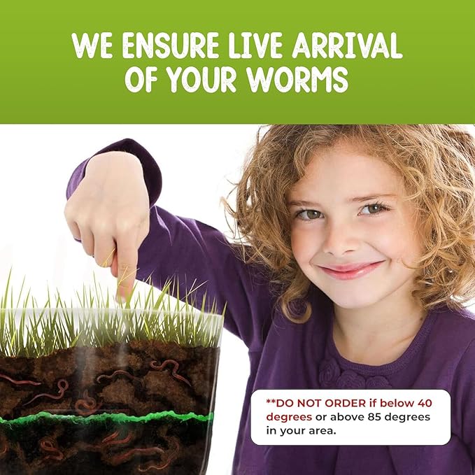 Worm Farm for Kids Shipped with Live Worms - Observation Kit with Ecosystem Soil Mixing Sand Magnifying Glass &amp More from Nature Gift Store